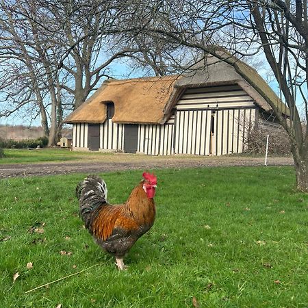 Le Domaine Caribou Bed & Breakfast Sainte-Opportune-la-Mare Luaran gambar