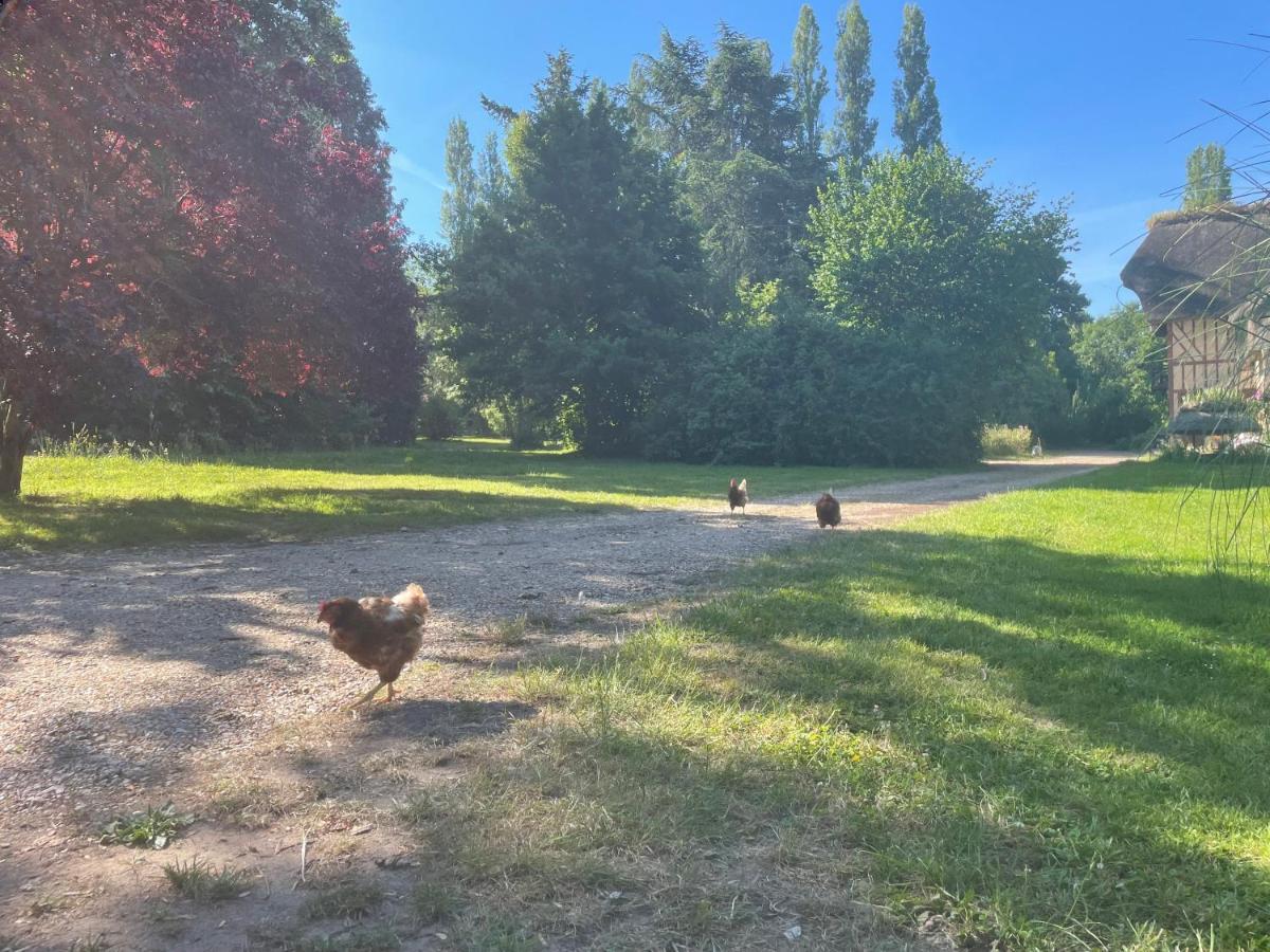 Le Domaine Caribou Bed & Breakfast Sainte-Opportune-la-Mare Luaran gambar