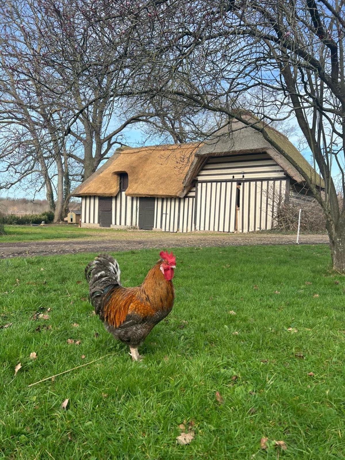 Le Domaine Caribou Bed & Breakfast Sainte-Opportune-la-Mare Luaran gambar